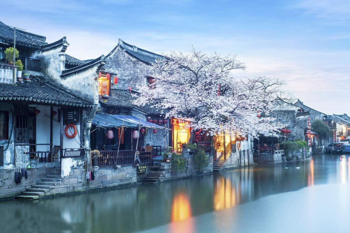 时尚红人莎莉